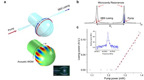 Microcavity Brillouin Laser Based On A Tapered Fiber Coupled