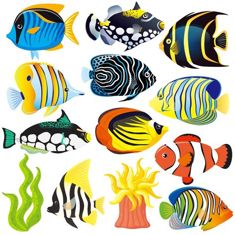 Snapklik.com : Tropical Fish Cutouts 46 Pack Paper Colorful School