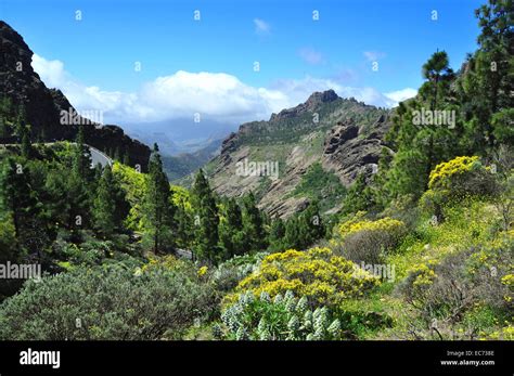 Beautiful Scenery In Gran Canaria Mountains Spain Stock Photo Alamy