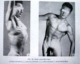 Plates From The Book Trait Complet De L Anatomie De L Homme