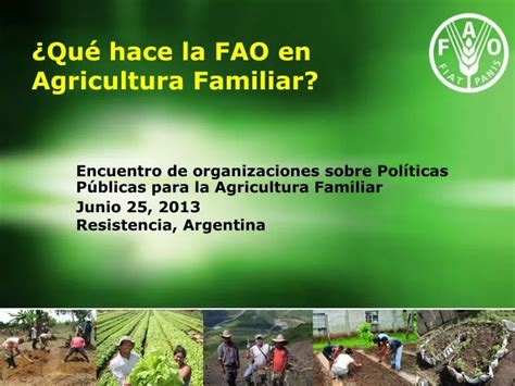 Ppt ¿qué Hace La Fao En Agricultura Familiar Powerpoint Presentation