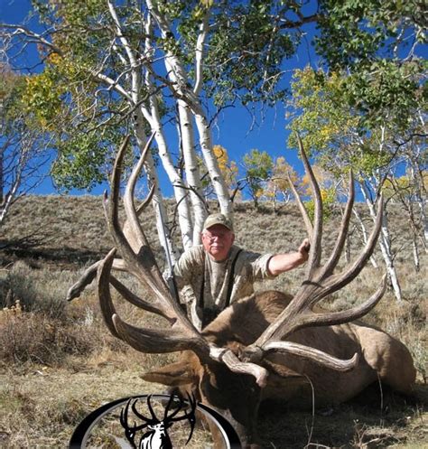 World Record Spider Bull Elk