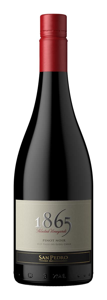 San Pedro 1865 Selected Vineyards Pinot Noir 2021 Vinmonopolet