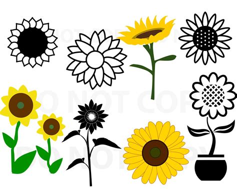 Sunflower Svg Bundle Svg File For Cricut Design Elements Etsy