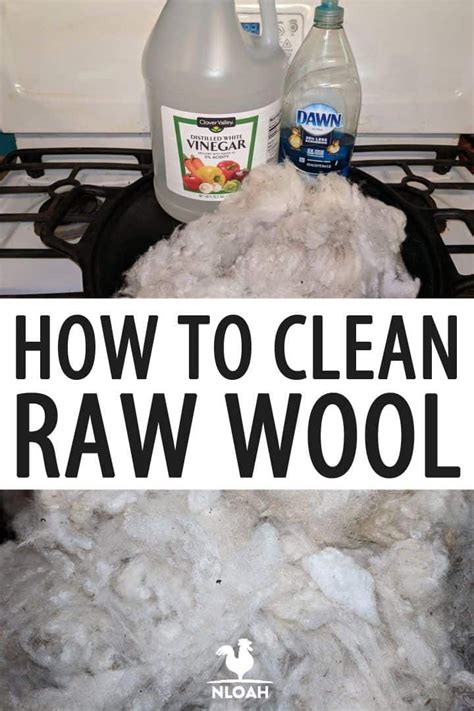 How To Clean And Dry Raw Wool • New Life On A Homestead Spinning Wool