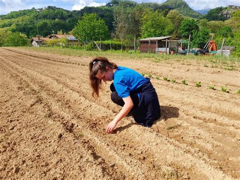 Terra Da Amare Foto Maruska Gonnella Giornale Di Barga