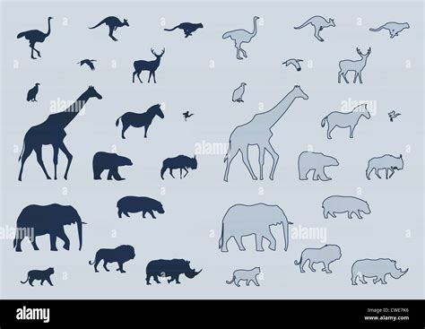 animals  res stock photography  images alamy