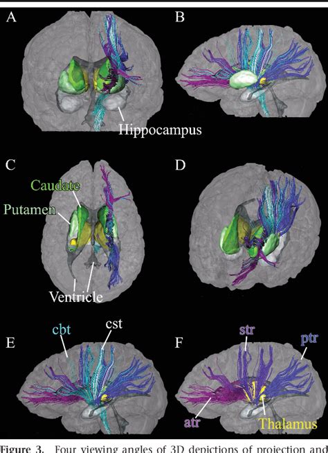 Pdf Fiber Tract Based Atlas Of Human White Matter Anatomy Semantic