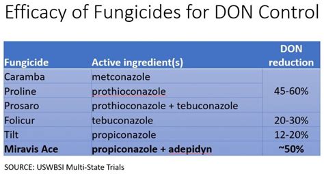 Wheat Diseases Diseases Prior To Heading And Flowering Virginia Ag