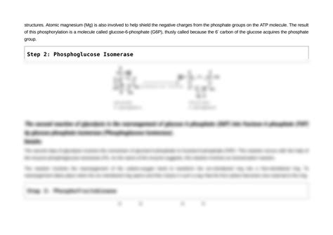 Solution Glycolysis 10th Steps With Diagram Studypool