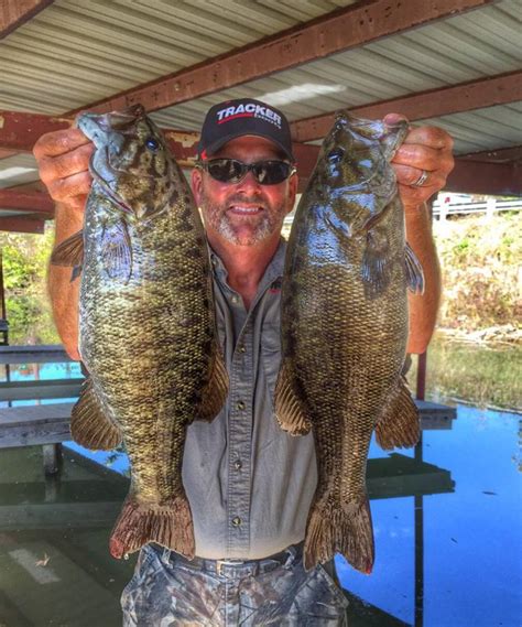 Meanmouth Invasion Of Tennessee River Bassfirst