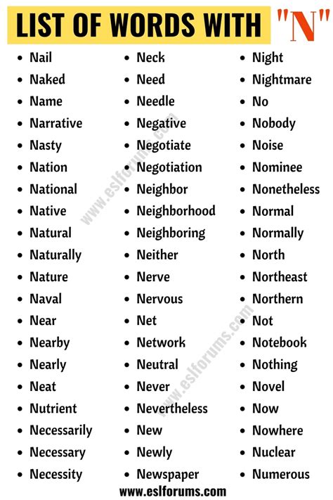 Descriptive N Words For People