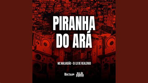 PIRANHA DO ARÁ YouTube