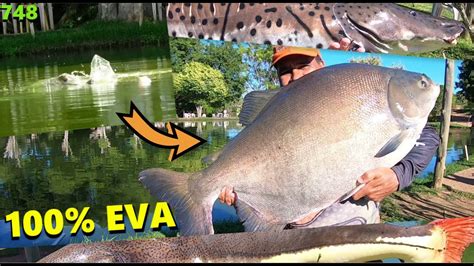 Tambas 100 EVA E Muitos Peixes De Couro No Point Da Pesca FISHINGTUR