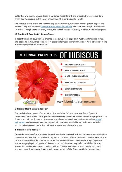 7 Unbelievable Health Benefits Of Hibiscus Flower