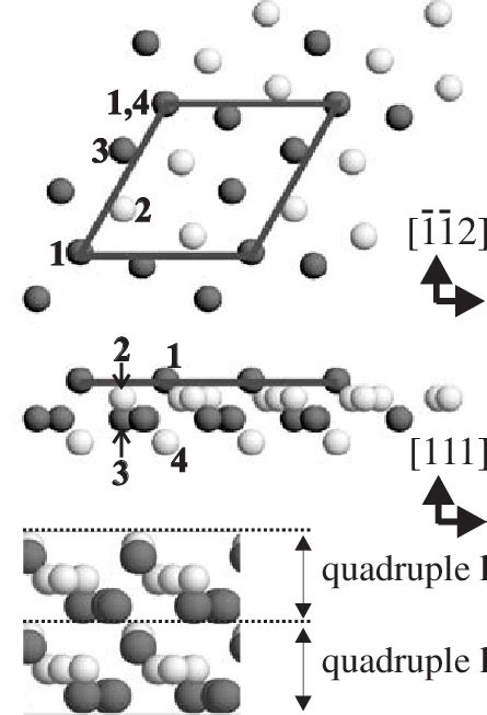 A Schematic Model Of The B Type Structure Of Mnsi White Balls