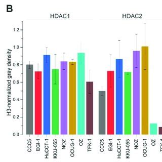 Hdac Activity And Protein Expression In Btc Cells A Hdac