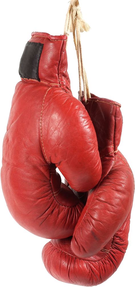 Boxing Gloves Png Transparent Images Pictures Photos Png Arts