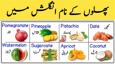 Name Of Fruits In English And Urdu Ilmgaah