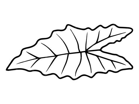 Premium Vector Hand Drawn Leaf Sketch Line Art Illustration