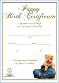 sample of dog birth certificate template | Templateral