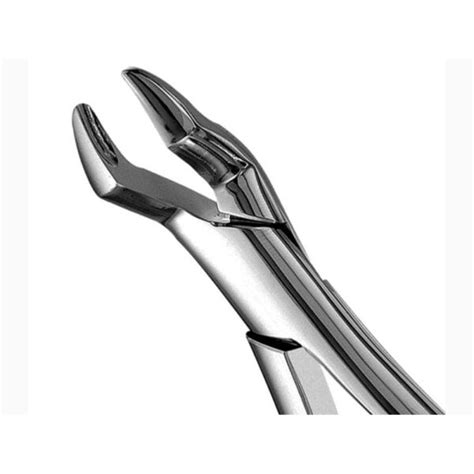 10s Upper Molar Forceps Orange Instruments