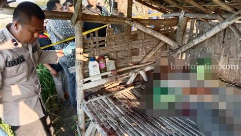 Polisi Gresik Dalami Pria Yang Meninggal Ditemukan Di Gubuk Sawah