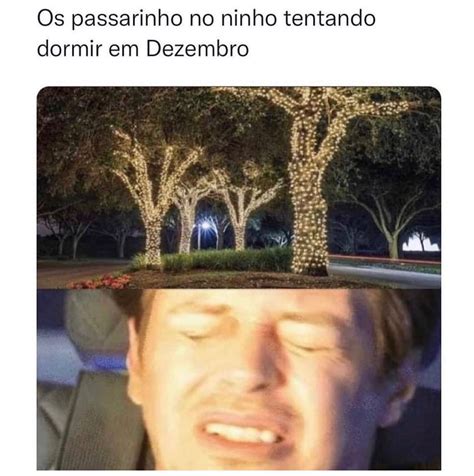 Os Passarinho No Ninho Tentando Dormir Em Dezembro Memes