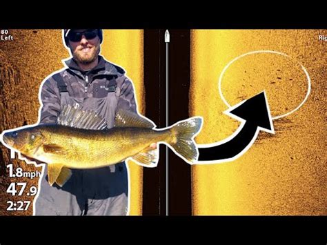 BEST Tips To Catch More Walleyes YouTube