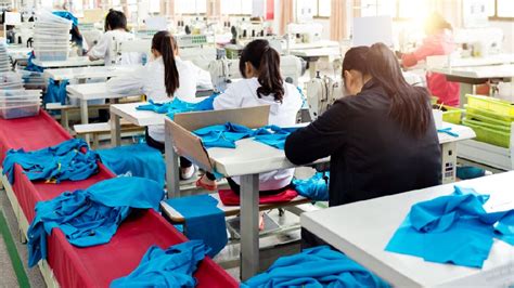 Aumenta La Presencia Femenina En Empresas Manufactureras Gaceta Unam