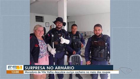 Moradora Acha Ouri O Cacheiro Em Guarda Roupa Em Vila Velha Es