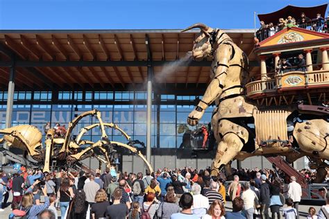 Les endroits incontournables de Toulouse à visiter en famille