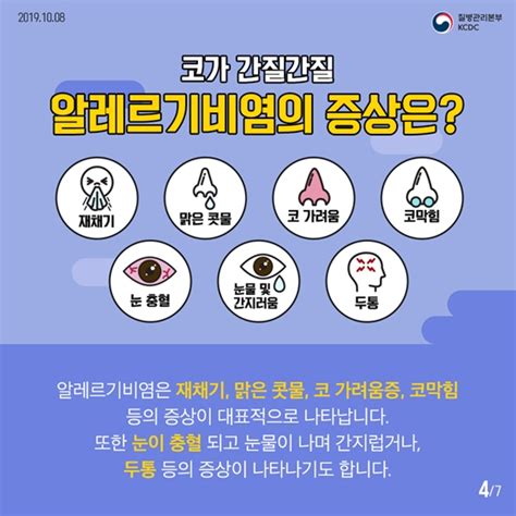 가을철 불청객 알레르기비염감기랑 뭐가 다를까 전체 카드한컷 멀티미디어 대한민국 정책브리핑