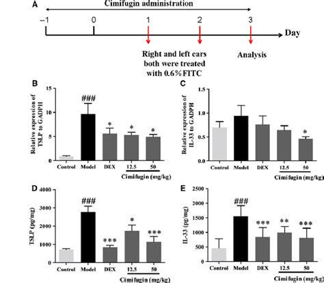 Effects Of Cimifugin On TSLP And IL 33 In The Initial Stage Of AD Model