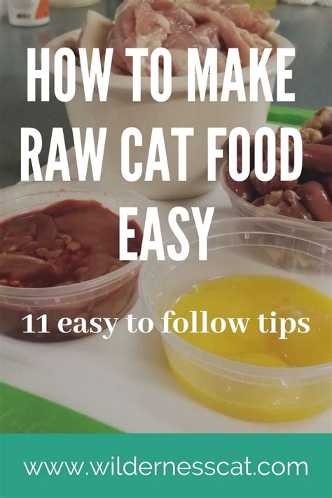 How To Make Raw Cat Food 11 Hacks To Make It Easy Raw Cat Food Recipes Homemade Raw Cat Food