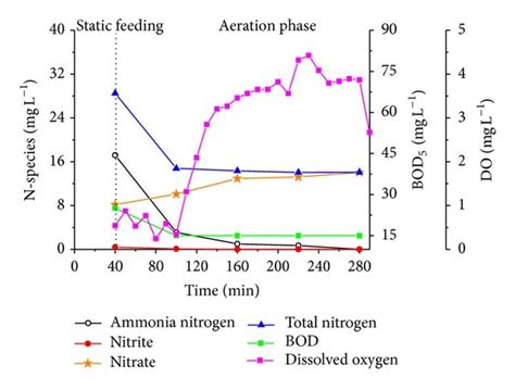 Profiles Of Nh N No N No N Tn Do And Bod Concentrations With