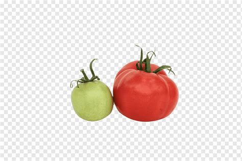 Tomato Vegetarian Cuisine Food Red Red Tomatoes Natural Foods Food