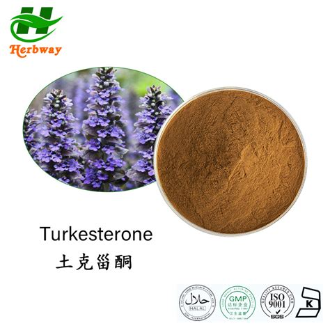 Herbway Natural Supplements Free Sample 10 Turkesterone Ajuga