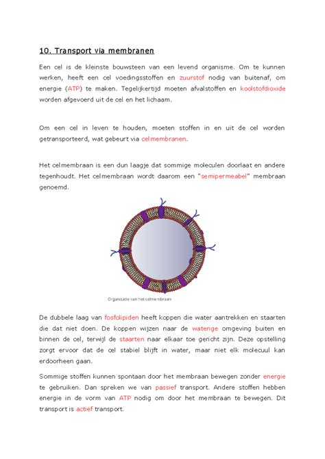 Cursus Biologie Membraantransport 1 Passief Transport Kopie 10