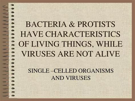 PPT - BACTERIA & PROTISTS HAVE CHARACTERISTICS OF LIVING THINGS, WHILE ...