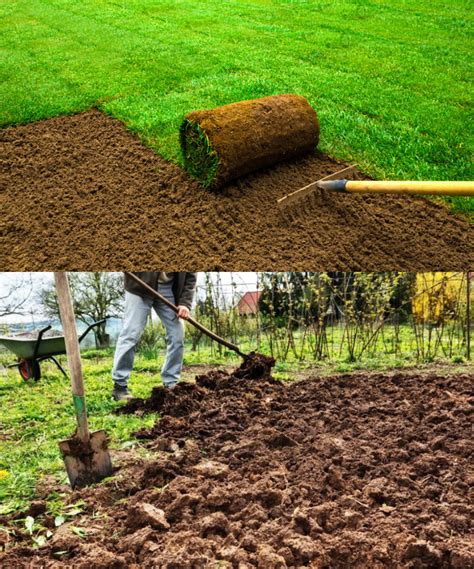 C Mo Preparar El Terreno Para Sembrar C Sped A Mano Delicias Culinarias