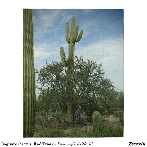 Saguaro Cactus And Tree Jigsaw Puzzle Saguaro Saguaro Cactus Cactus