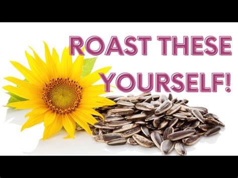 Roasting Sunflower Seeds Recipe Emilemikaella