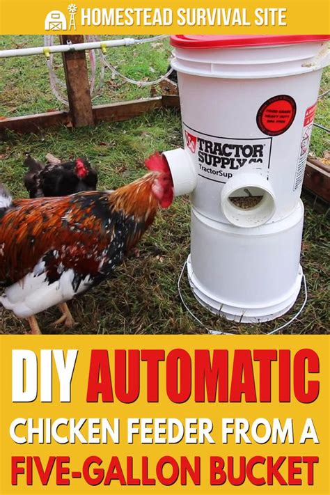 Diy Automatic Chicken Feeder From Five Gallon Bucket Automatic