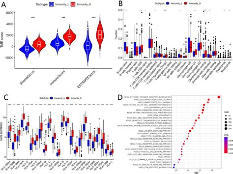 Table 2 From Development And Validation Of An Immune‐related Gene