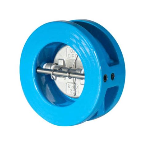 Iso5752 Ductile Cast Iron Wafer Type Dual Plate Double Door Check