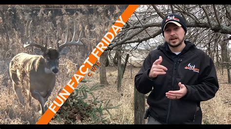 Funfactfriday Cwd Testing Youtube