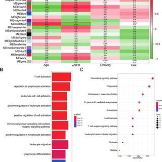 Identification Of Gene Modules Negatively Associated With EGFR In