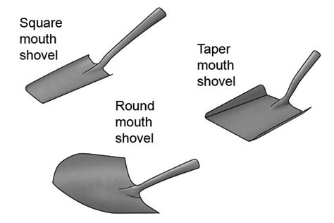 How To Choose The Best Shovel For You Wonkee Donkee Tools