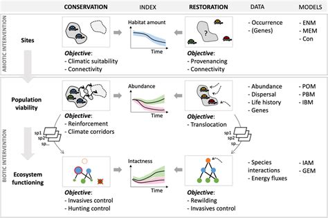 The Use Of Spatially Explicit Models To Inform Different Conservation Download Scientific